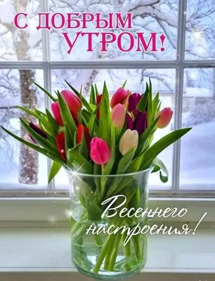 Картинки \"С Добрым Утром, Любимый!\" (257 шт.)