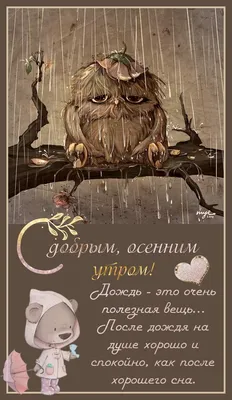 Доброе утро , друзья!!!💕За окном дождь, а в наших салонах теплая дружеская  атмосфера!!! Сегодня и завтра мы дарим каждому.. | ВКонтакте