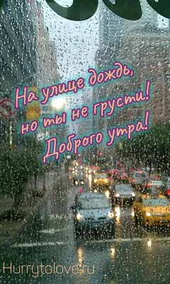 Доброе утро! Погода на 22 ноября утро – Дождь + 6°...+ 7°С ветер З 6м/с  день – Дождь + 4°…+ 6°С ветер СЗ 5м/с вечер – Облачно + 1°…+… | Instagram