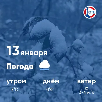 Доброе утро! Погода на 22 ноября утро – Дождь + 6°...+ 7°С ветер З 6м/с  день – Дождь + 4°…+ 6°С ветер СЗ 5м/с вечер – Облачно + 1°…+… | Instagram