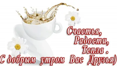 ДОБРОЕ УТРО, ДРУЗЬЯ! ВСЕМ ПРЕКРАСНОГО СУББОТНЕГО НАСТРОЕНИЯ! ☎ 8 (8202)  60-19-12 📍 ул.Металлургов, 2 #агами #череповец #женскиест… | Открытки, Доброе  утро, Надписи