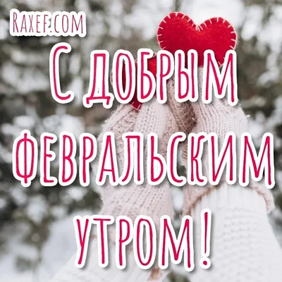 Открытки \"Доброго утра февраля!\" бесплатно (152 шт.)