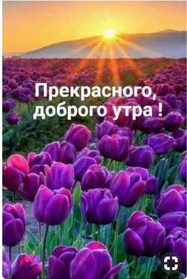 Открытка с именем ирина С добрым утром. Открытки на каждый день с именами и  пожеланиями.