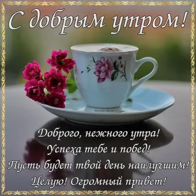 Нежные открытки с добрым утром (много фото) - pikselyi.ru