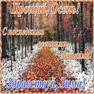 Доброе утро - картинки с пожеланиями для прекрасного настроения на вайбер -  Телеграф