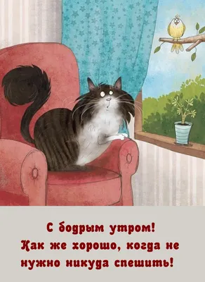 Приколы🤣, записанные на досках и штендерах, которые❤️ заставляют  улыбнуться | Призма жизни | Дзен