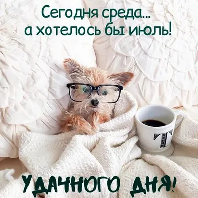 Юмор+жизнь - С добрым утром! 😃 | Facebook