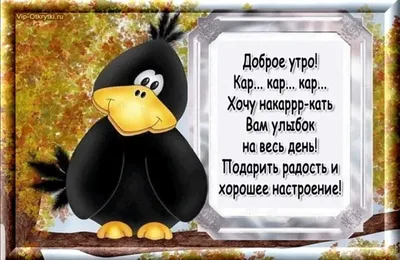 Доброе утро прикольные картинки. Лежу и никому не мешаю. | Картинки, Доброе  утро, Смешные цитаты