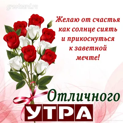 Купить \"Доброе утро\" Цветы любимой в Москве по 7250 ₽ арт – 14342