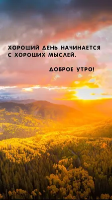 Красивые пожелания с добрым утром: стихи, проза, открытки - МЕТА