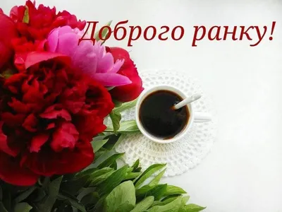 Доброе утро! 50 растительных завтраков, которые ждешь с вечера | Туманова  Наталья Юрьевна - купить с доставкой по выгодным ценам в интернет-магазине  OZON (282469177)