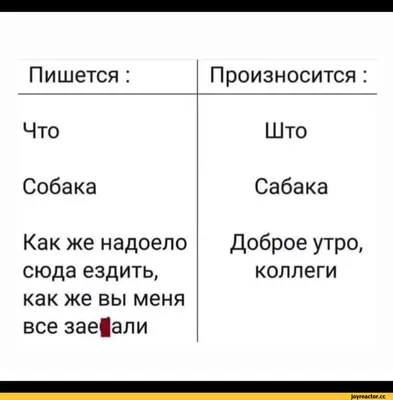 Доброе утро, коллеги! Делюсь с вами оформлением для доски, вдруг кому-то  пригодится ! | ВКонтакте