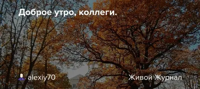 Пишется: Произносится: Что Што Собака Сабака Как же надоело Доброе утро,  сюда ездить, коллеги / грамматика :: работа / смешные картинки и другие  приколы: комиксы, гиф анимация, видео, лучший интеллектуальный юмор.