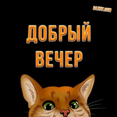 Секреты Колеровки | Доброе утро, коллеги. #юмор #работа | Дзен