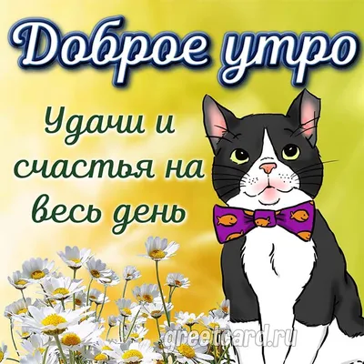 Доброе утро