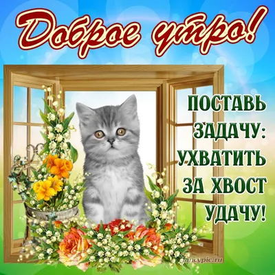 Доброе утро! Милый котёнок мейн-…» — создано в Шедевруме