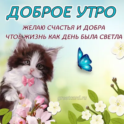 Доброе утро! #Доброеутро #Кот #Котейка #dzen.ru/cherrrygarden  #cherrrygarden | Instagram