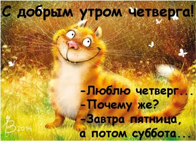 Самое доброе утро! Кот спит, кофе …» — создано в Шедевруме