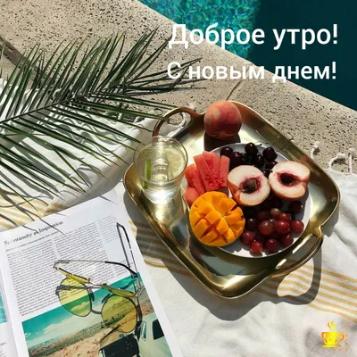 Доброе утро! Согревайтесь сегодня тёплыми мыслями! #Библиотека_МПГУ # доброеутро #хорошегодня #цитаты.. | ВКонтакте