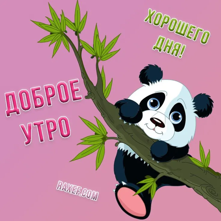Нежные и милые мультяшные открытки с добрым утром! Открытка с розовой милой свинкой (поросёнком) с... | Страница 15 | Открытки, Доброе утро, Картинки Нежные и милые мультяшные открытки с добрым утром! Открытка с розовой милой свинкой (поросёнком) с... | Страница 15 | Открытки, Доброе утро, Картинки