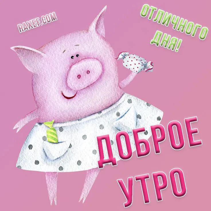 Нежные и милые мультяшные открытки с добрым утром! Открытка с розовой милой свинкой (поросёнком) с... | Страница 15 | Открытки, Доброе утро, Мультфильмы Нежные и милые мультяшные открытки с добрым утром! Открытка с розовой милой свинкой (поросёнком) с... | Страница 15 | Открытки, Доброе утро, Мультфильмы