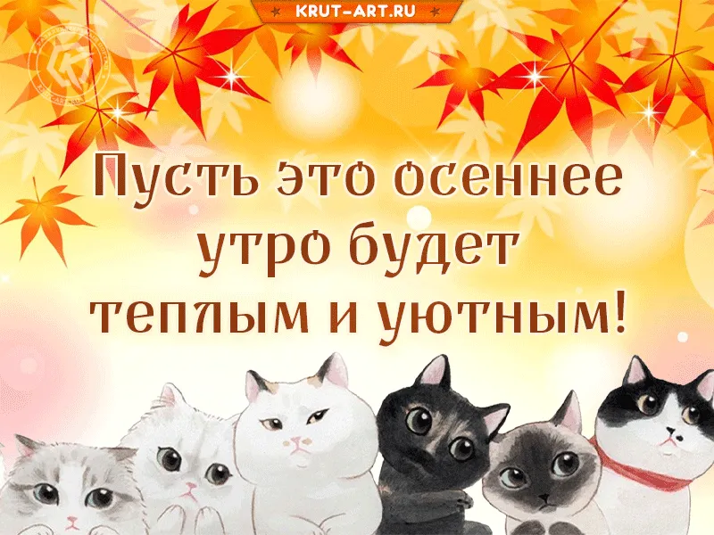 Красивая подборка открыток с добрым утром | Открытки, поздравления и рецепты | Дзен Красивая подборка открыток с добрым утром | Открытки, поздравления и рецепты | Дзен