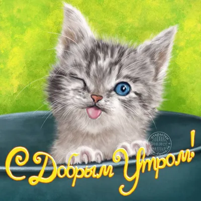 Прикольные картинки \"С Добрым Утром!\" (254 шт.)
