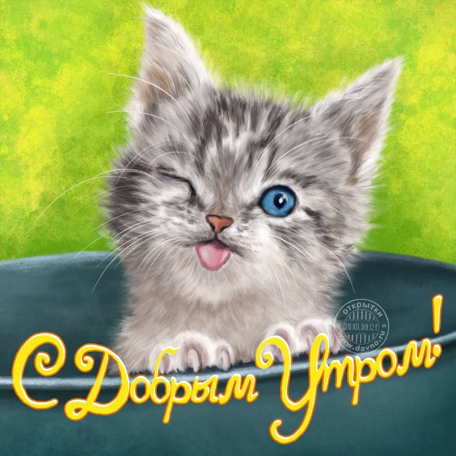 Прикольные картинки \"С Добрым Утром!\" (254 шт.) Прикольные картинки \"С Добрым Утром!\" (254 шт.)
