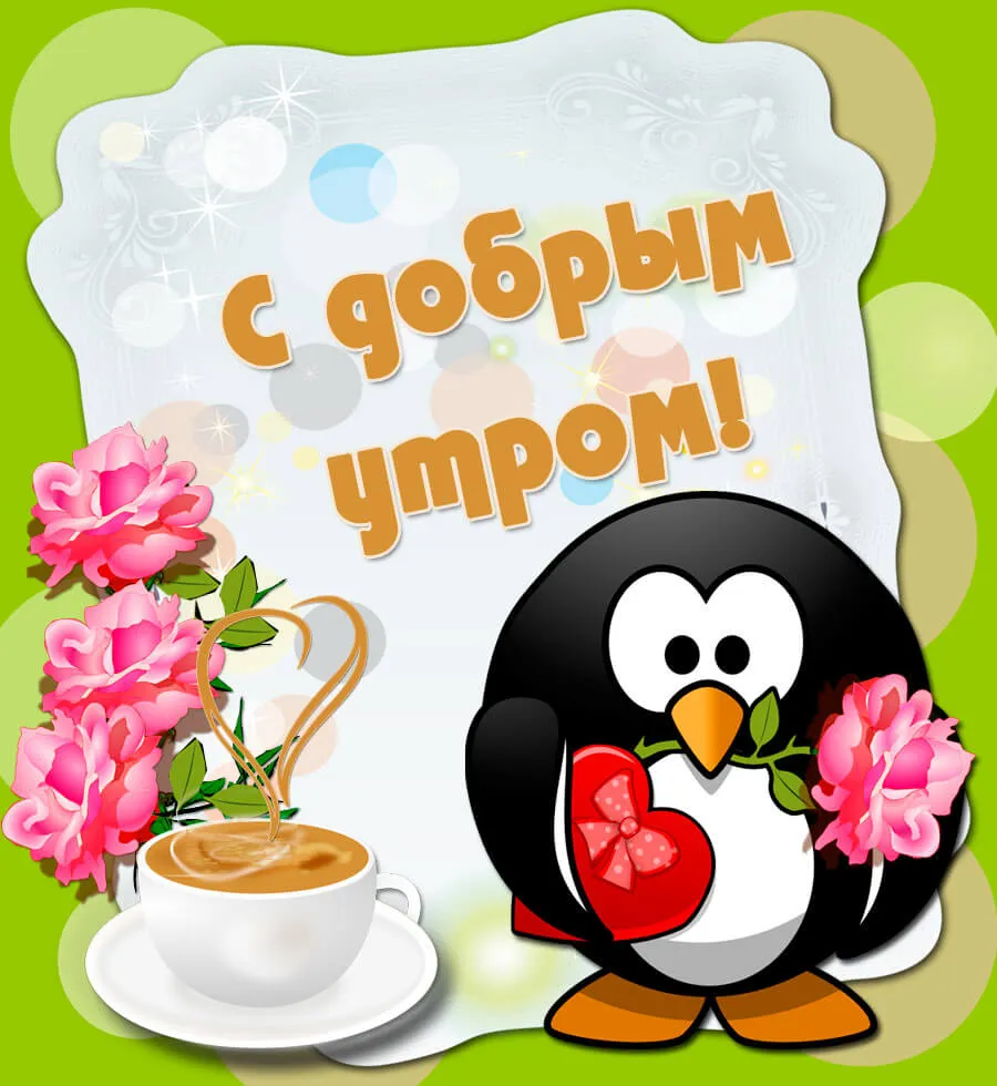 Прикольная открытка с добрым утром и ежиком Прикольная открытка с добрым утром и ежиком