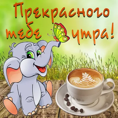 Картинки \"С Добрым Утром! Хорошего дня!\" (355 шт.)