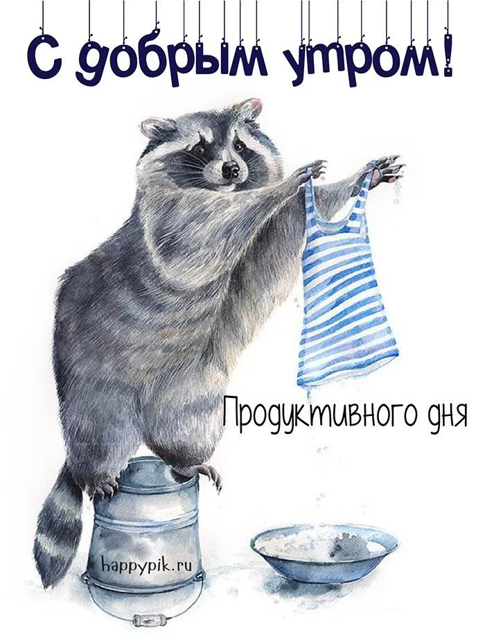 Позитивные картинки Доброе утро 😄 👇 - скачать | Доброе утро, Смешные рисунки, Смешно Позитивные картинки Доброе утро 😄 👇 - скачать | Доброе утро, Смешные рисунки, Смешно