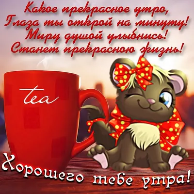 Открытки \"Доброе утро\" | Открытки, поздравления и рецепты | Дзен