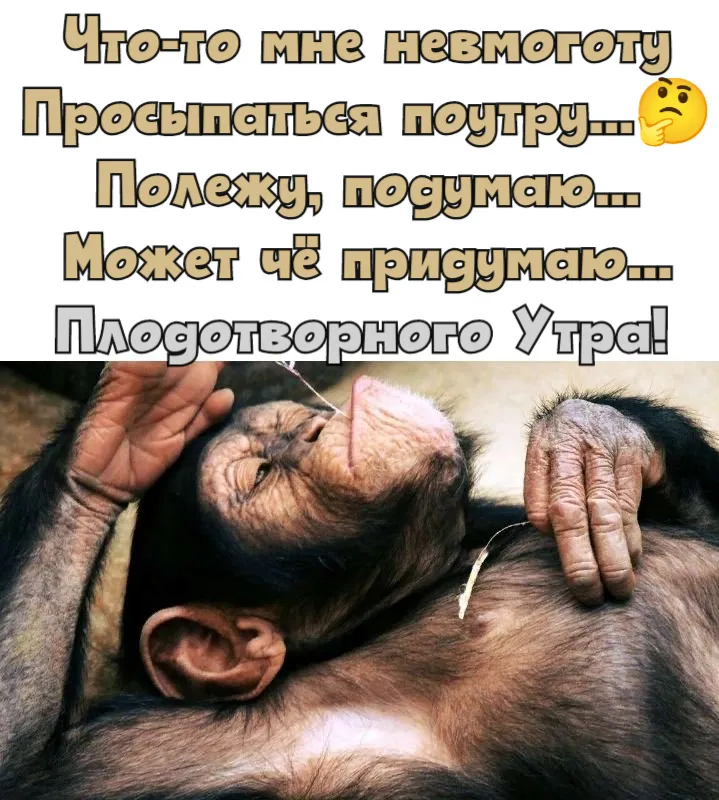 Прикольные картинки \"Доброе утро\" 👍 😄 (304 шт.) | Юмор о настроении, Вдохновляющие цитаты, Надписи Прикольные картинки \"Доброе утро\" 👍 😄 (304 шт.) | Юмор о настроении, Вдохновляющие цитаты, Надписи