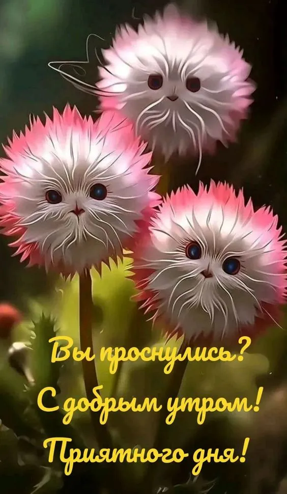 Картинки \"с Добрым утром\" красивые (115 штук) Картинки \"с Добрым утром\" красивые (115 штук)