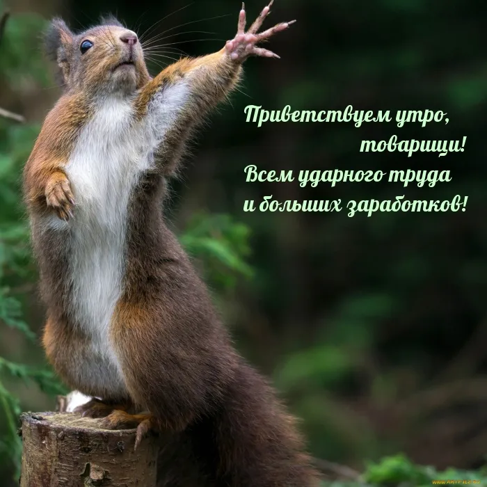 Анимация Доброе утро | Музыкальные Открытки Бесплатно Анимация Доброе утро | Музыкальные Открытки Бесплатно