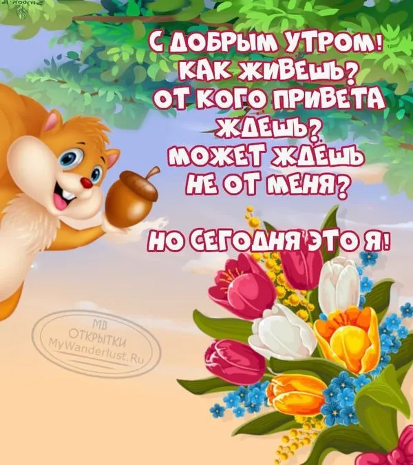 Открытки и картинки с добрым утром прикольные, скачать Открытки и картинки с добрым утром прикольные, скачать