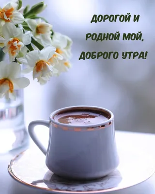 доброеутро #любимый #муж #сдобрымутром_хорошегодня #сдобрымутромлюбим... |  TikTok