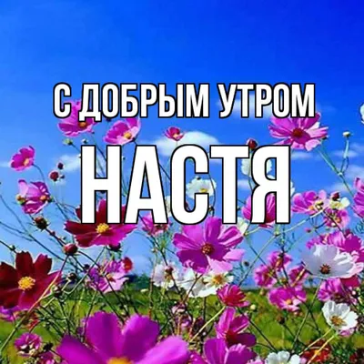 Olgа🌺🌿 on X: \"@Nataly300474 Доброе утро, Наташа! https://t.co/OIB4K3rCON\"  / X