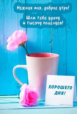 Самая нежная картинка доброе утро - GreetCard.ru