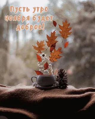 С добрым утром друзья ☕❄️#1ноября #доброе_утро #сдобрымутром | TikTok