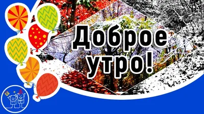 Доброе утро ! С первым днем ноября! С пятницей! Хорошего дня и позитивного  настроения!