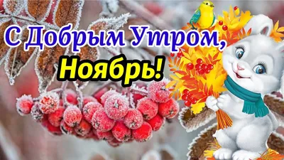 Открытки \"Доброго утра ноября!\" бесплатно (154 шт.)