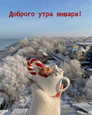 Доброе утро ❄️❄️❄️ ноябрь, снег …» — создано в Шедевруме