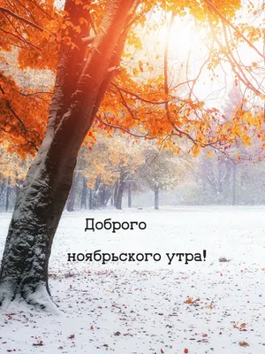 Доброе Воскресное Утро! 19 НОЯБРЯ. #утренниепожелания #осеннееутро #до... |  TikTok