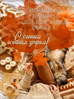 Доброе утро Ноября! 03.11.2022 🌹☕🍁❤️🍂💖 | Доброе утро, Осенние картинки,  Веселые картинки