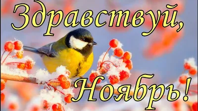 Я дарю вам радость - 🖐Доброе утро,мои дорогие! С последним днем осени! 🍂  Сегодня, последний день ноября, последний день осени... ❄Завтра зима!  ❄Прощай, еще одна осень нашей быстротечной жизни! 🍂Мне осень крикнула: «