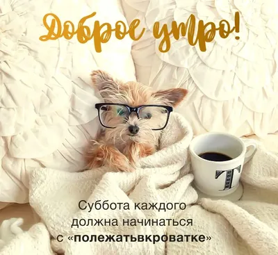 Доброе утро!!☀ Новые открытки каждый день! подписывайся)  https://vk.com/pozdravvse #доброеутро.. | ВКонтакте