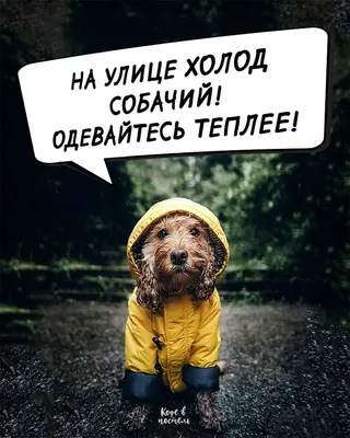 доброеутро #похолодало #одевайсятеплее | TikTok