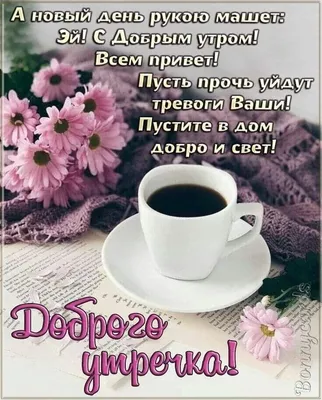 ○๑❤Красивый форум❤๑○• — Доброе Утро.., День.., Вечер! | OK.RU | Доброе утро,  Веселые картинки, Смешные детские картинки