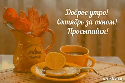 ПРИВЕТСТВИЯ и ПОЖЕЛАНИЯ, открытки на каждый день. опубликовал пост от 4  октября 2020 в 23:47 | Фотострана | Пост №2225059998